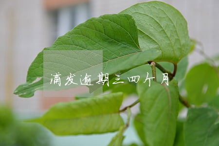 浦发逾期三四个月 浦发逾期三四个月