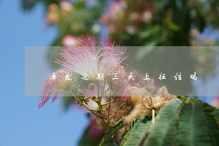 浦发逾期三天上征信吗 浦发逾期三天上征信吗