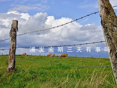 浦发逾期三天有事吗 浦发逾期三天有事吗