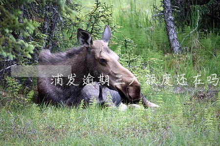 浦发逾期三天额度还在吗 浦发逾期三天额度还在吗