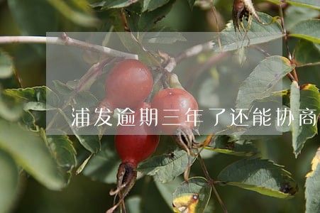 浦发逾期三年了还能协商吗 浦发逾期三年了还能协商吗