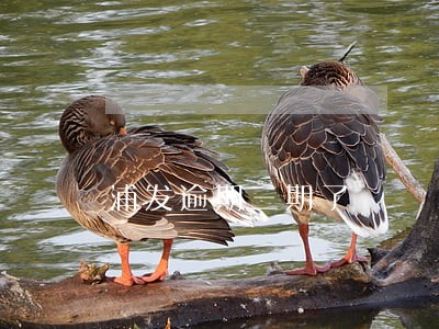 浦发逾期三期了 浦发逾期三期了