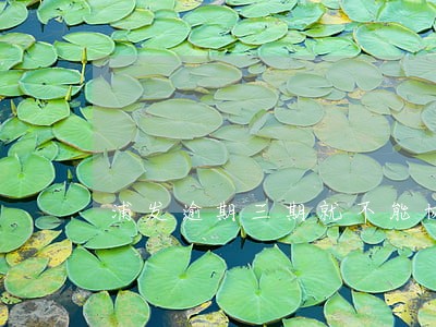 浦发逾期三期就不能协商了吗 浦发逾期三期就不能协商了吗