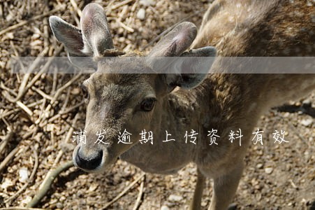 浦发逾期上传资料有效 浦发逾期上传资料有效