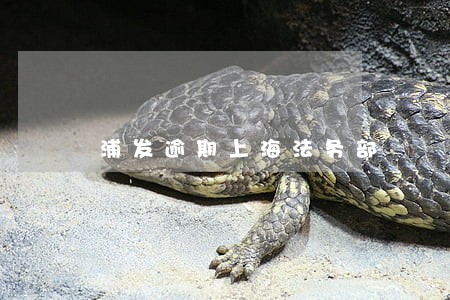 浦发逾期上海法务部 浦发逾期上海法务部