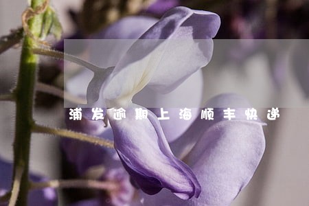 浦发逾期上海顺丰快递 浦发逾期上海顺丰快递
