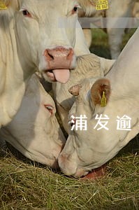 浦发逾期上门催收 浦发逾期上门催收