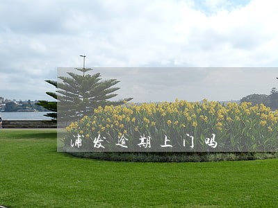 浦发逾期上门吗 浦发逾期上门吗