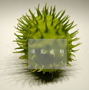 浦发逾期上门都调查什么工商 浦发逾期上门都调查什么工商