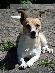 浦发逾期不停息 浦发逾期不停息