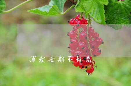 浦发逾期不协商 浦发逾期不协商