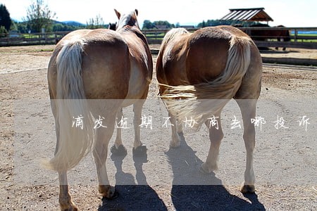 浦发逾期不协商去哪投诉邮政 浦发逾期不协商去哪投诉邮政