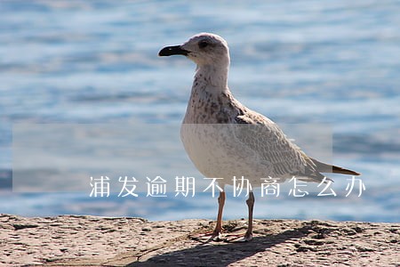 浦发逾期不协商怎么办 浦发逾期不协商怎么办