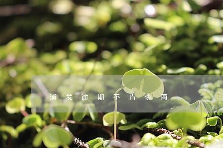 浦发逾期不肯协商 浦发逾期不肯协商