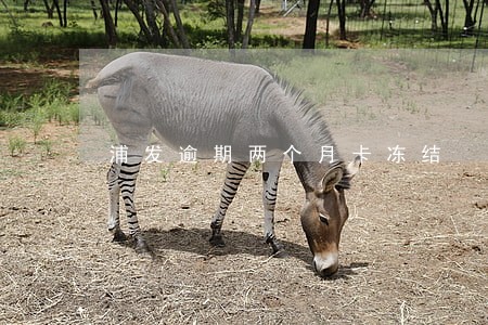 浦发逾期两个月卡冻结 浦发逾期两个月卡冻结