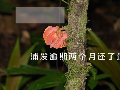 浦发逾期两个月还了最低卡封了 浦发逾期两个月还了最低卡封了