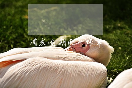 浦发逾期两个账单 浦发逾期两个账单