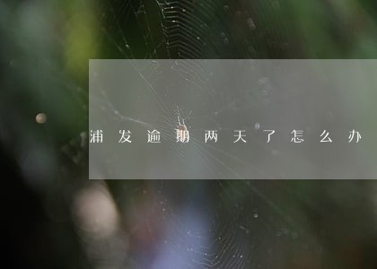 浦发逾期两天了怎么办 浦发逾期两天了怎么办