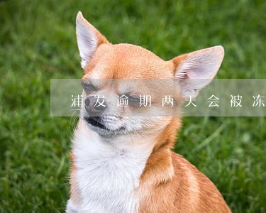 浦发逾期两天会被冻结吗 浦发逾期两天会被冻结吗