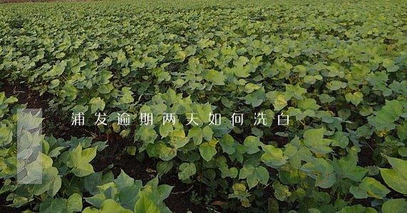 浦发逾期两天如何洗白 浦发逾期两天如何洗白