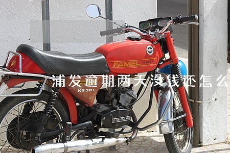 浦发逾期两天没钱还怎么办 浦发逾期两天没钱还怎么办