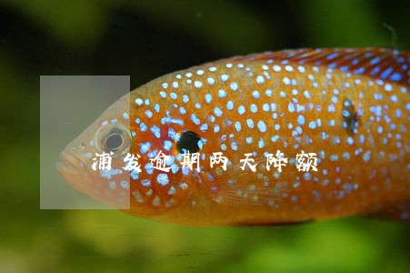 浦发逾期两天降额 浦发逾期两天降额
