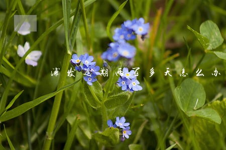 浦发逾期两百多天怎么办 浦发逾期两百多天怎么办