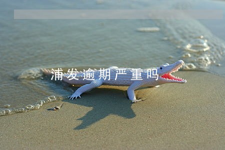 浦发逾期严重吗 浦发逾期严重吗