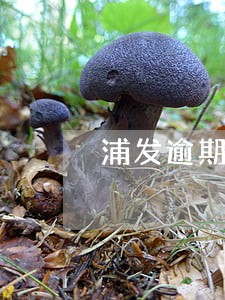 浦发逾期个性化 浦发逾期个性化