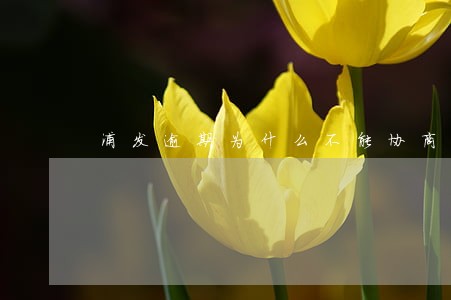 浦发逾期为什么不能协商广发 浦发逾期为什么不能协商广发