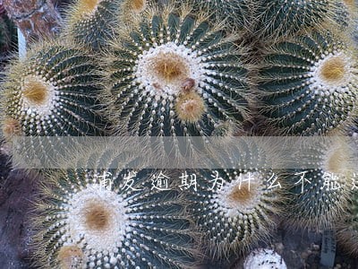 浦发逾期为什么不能还最低 浦发逾期为什么不能还最低