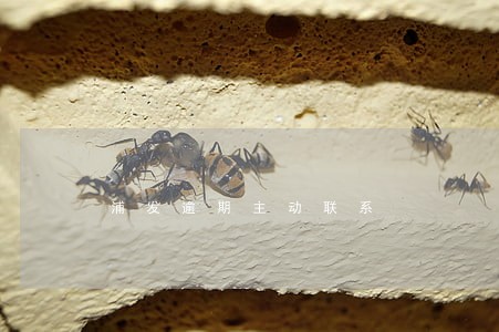 浦发逾期主动联系 浦发逾期主动联系
