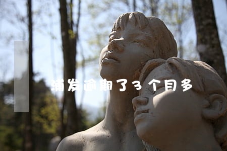 浦发逾期了3个月多 浦发逾期了3个月多
