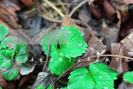 浦发逾期了会不会把万用金算一起 浦发逾期了会不会把万用金算一起
