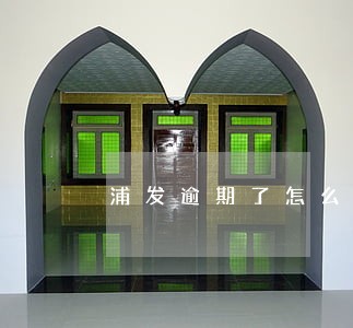 浦发逾期了怎么登不上app 浦发逾期了怎么登不上app