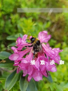 浦发逾期了能申请超长还款么 浦发逾期了能申请超长还款么