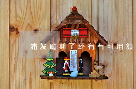 浦发逾期了还有有可用额度 浦发逾期了还有有可用额度