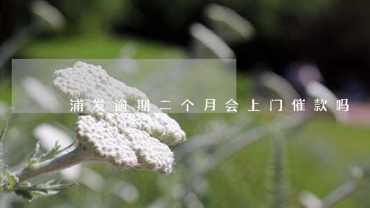 浦发逾期二个月会上门催款吗 浦发逾期二个月会上门催款吗
