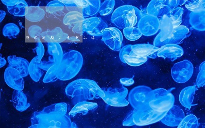 浦发逾期二十万上海 浦发逾期二十万上海