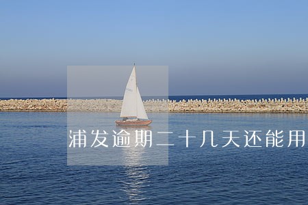 浦发逾期二十几天还能用吗