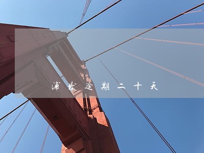 浦发逾期二十天 浦发逾期二十天