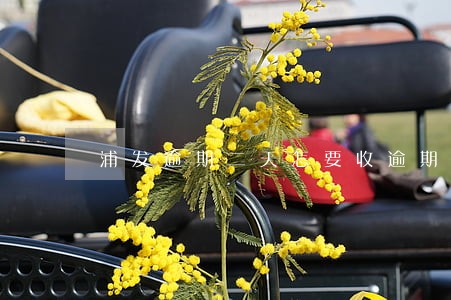 浦发逾期二天怎要收逾期费用 浦发逾期二天怎要收逾期费用