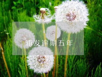 浦发逾期五年