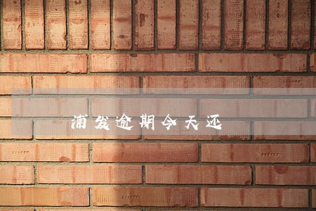 浦发逾期今天还 浦发逾期今天还