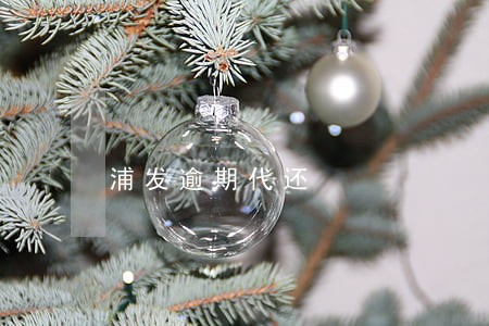 浦发逾期代还 浦发逾期代还