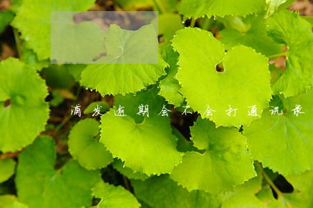 浦发逾期会不会打通讯录 浦发逾期会不会打通讯录