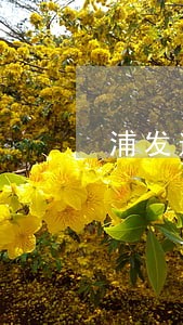 浦发逾期会加QQ吗 浦发逾期会加QQ吗