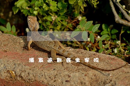 浦发逾期会坐牢吗 浦发逾期会坐牢吗