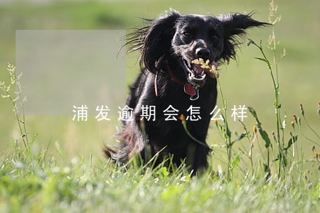 浦发逾期会怎么样 浦发逾期会怎么样