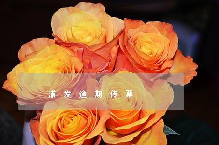 浦发逾期传票 浦发逾期传票